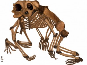 Digital 2011 Skeleton 3 